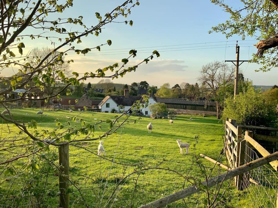 The Cart House - Beautiful Contemporary Barn - Hot Tub Apartment Bridgnorth Exterior photo